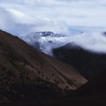 Walking has a positive effect on the mind